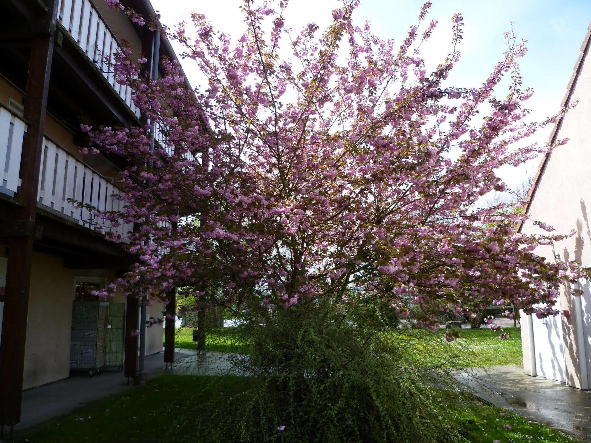 Balladins Mulhouse Euroairport Bartenheim Exterior photo